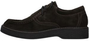 Derbie IgI&CO  8113644