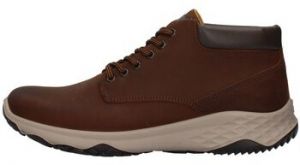 Polokozačky IgI&CO  8119511