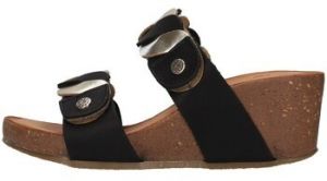 Šľapky IgI&CO  1697411