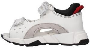 Sandále Primigi  1915011