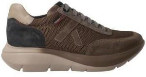 Nízke tenisky CallagHan  -