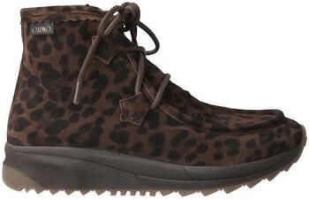 Čižmičky Gaimo  -