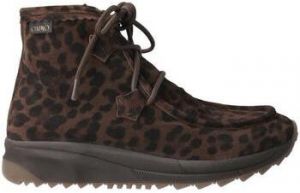 Čižmičky Gaimo  -