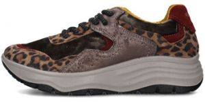 Nízke tenisky IgI&CO  8682633