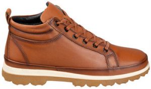 Čižmičky 48 Horas  ČLENOK  2306