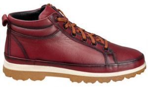 Čižmičky 48 Horas  ČLENOK  2306