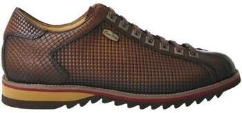 Nízke tenisky Laura Vita  -