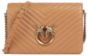 Tašky cez rameno Pinko  -