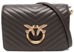 Tašky cez rameno Pinko  -