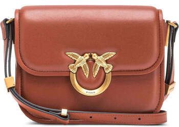 Tašky cez rameno Pinko  -