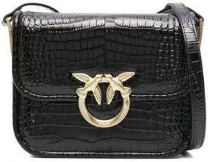 Tašky cez rameno Pinko  -