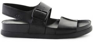 Sandále Clarks  Torford Strap