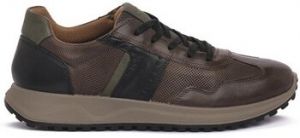 Nízke tenisky IgI&CO  Saronno