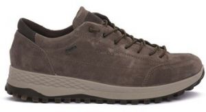 Nízke tenisky IgI&CO  8625155