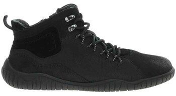 Polokozačky Josef Seibel  20703MA796100