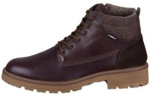 Polokozačky Ara  112365418