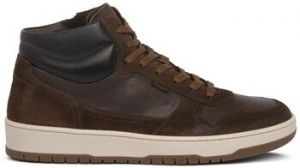 Členkové tenisky NeroGiardini  500911339