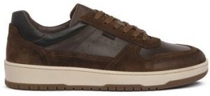 Nízke tenisky NeroGiardini  500910339