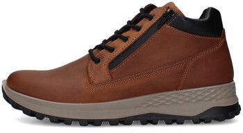 Nízke tenisky IgI&CO  8624922