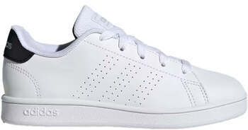 Nízke tenisky adidas  IG2510