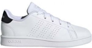 Nízke tenisky adidas  IG2510