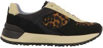 Nízke tenisky Gioseppo  73953