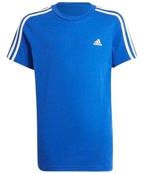 Tričká s krátkym rukávom adidas  GN4000