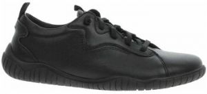 Nízke tenisky Josef Seibel  70701TE793100