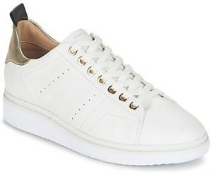 Nízke tenisky Geox  THYMAR A