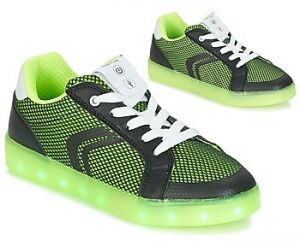 Nízke tenisky Geox  J KOMMODOR B.A