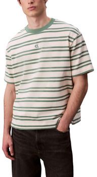 Tričká s krátkym rukávom Calvin Klein Jeans  SS HVYWT STRIPE JERS LV04RC235G