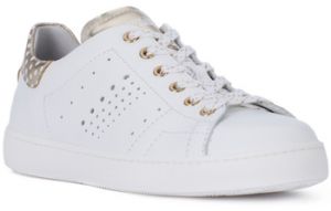 Nízke tenisky NeroGiardini  NERO GIARDINI  MANAUS BIANCO