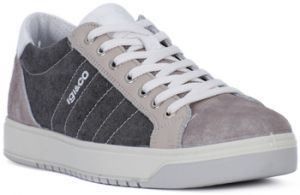 Nízke tenisky IgI&CO  SPECIAL GRIGIO