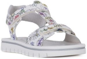 Sandále NeroGiardini  NERO GIARDINI  BAMBI