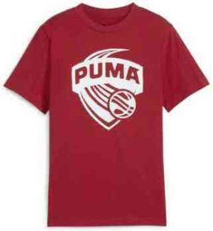 Tričká s krátkym rukávom Puma  630822-13