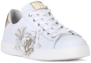 Nízke tenisky NeroGiardini  NERO GIARDINI MANAUS