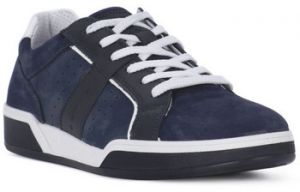 Nízke tenisky IgI&CO  SPECIAL BLU