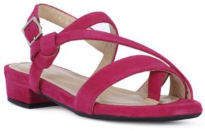 Sandále Frau  CAMOSCIO FUXIA