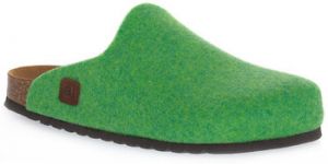 Nazuvky Bioline  ALOE MERINOS