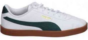 Nízke tenisky Puma  397445-08