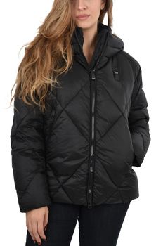 Parky Blauer  25WBLDC03167