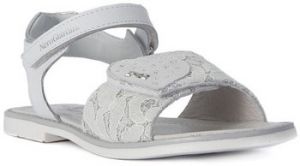 Sandále NeroGiardini  NERO GIARDINI  PIZZO METAL