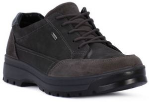 Nízke tenisky IgI&CO  GRIGIO SCURO