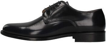 Derbie Fedeni  901OV