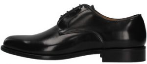 Derbie Fedeni  901OV