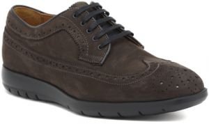 Nízka obuv do mesta Marco Ferretti  INGLESE NABUK ANTRACITE