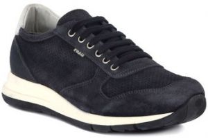 Nízke tenisky Frau  AMALFI WASHED BLU