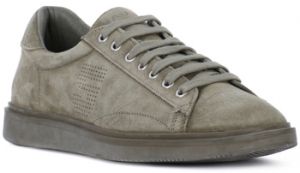 Nízke tenisky Frau  AMALFI SIEPE