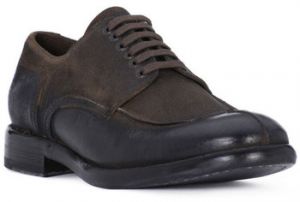 Derbie Luca Rossi  CERATA VISONE