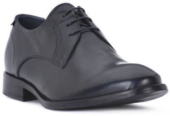 Derbie Ocland  NILO BLU